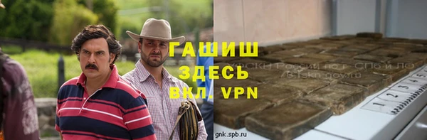 прущие грибы Болотное