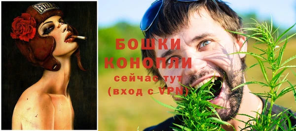 тгк Пестово