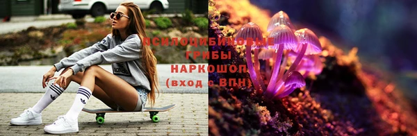 соль ск Покачи